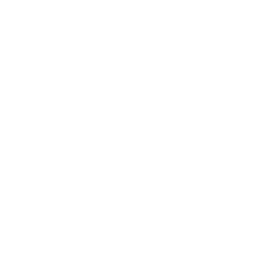 Roma Intelligence